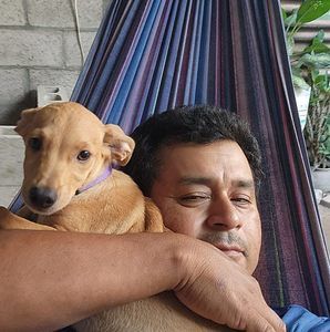 Meet your Posher, Pedro a